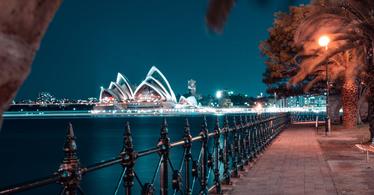 Customer Testimonials on Long-lasting Shine from Sydney's Ceramic Coating